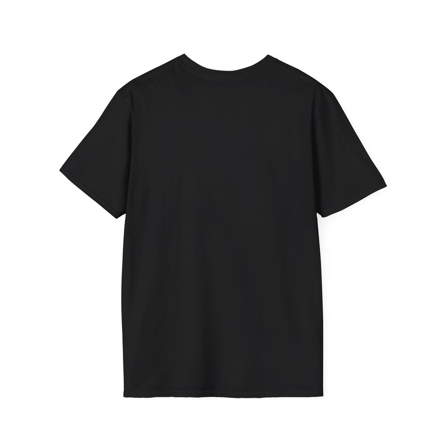 Paradigm unisex softstyle tee