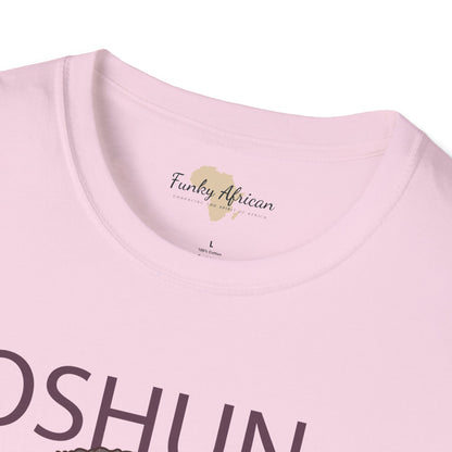 Oshun unisex softstyle tee